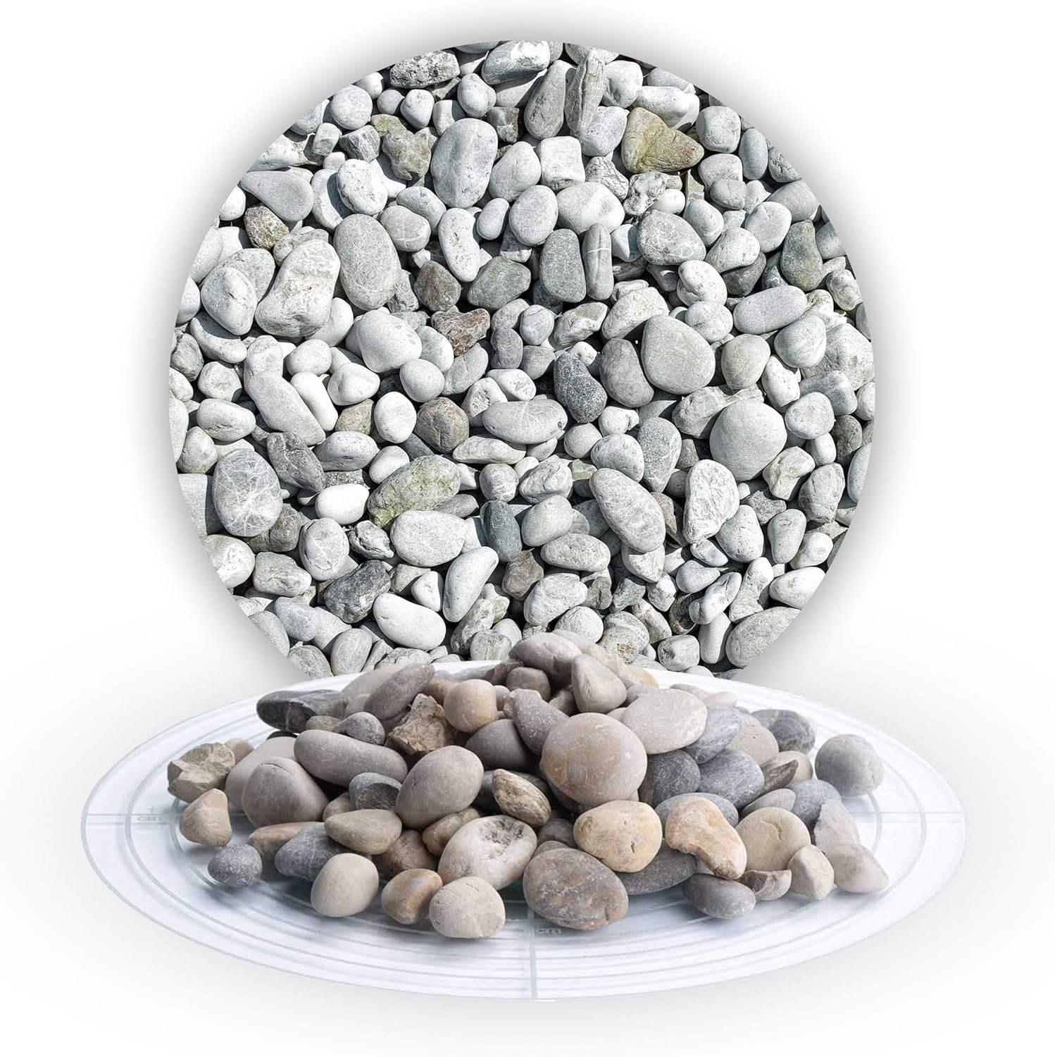 81e6qxq4ftL._AC_SL1500_